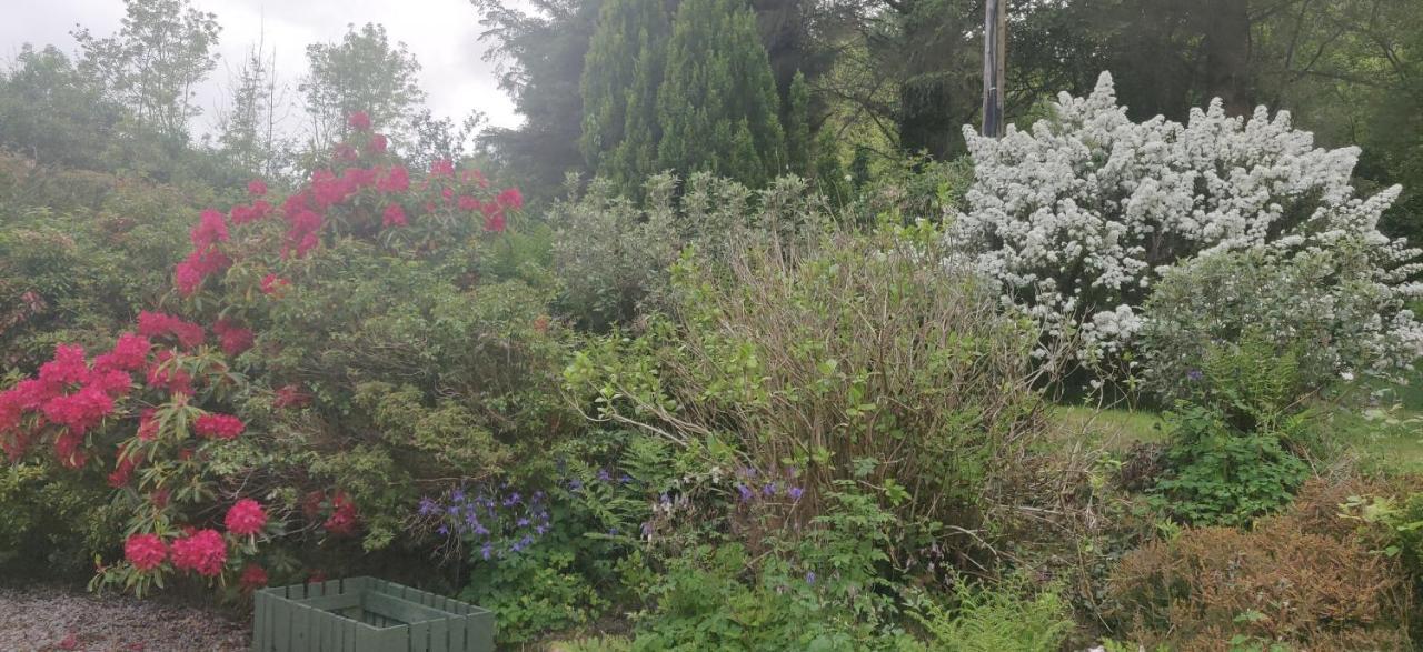 Leenan View Country House Guest House Portsalon Exterior photo